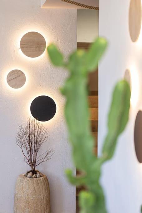 Cactopia Apartments - Stapelia Rethymno  Exterior photo